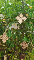 Heirloom Ornaments (10pc)